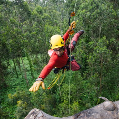 Mechanischer Prusik ZIGZAG von Petzl, CHICANE von Petzl, Baumpflegegurt SEQUOIA von Petzl, Baumpflege an Eukalyptus in Galicien, Spanien